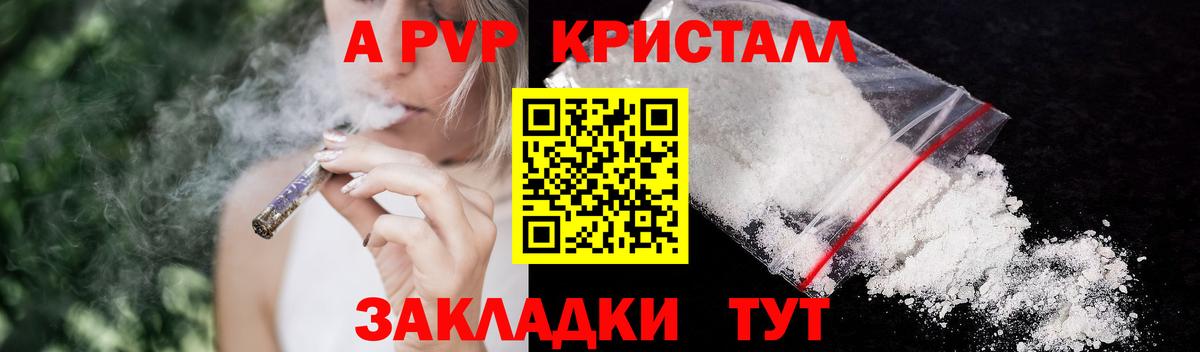 как найти наркотики  Майкоп  APVP СК  A PVP мука  A PVP СК 