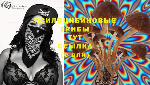 метамфетамин Липки