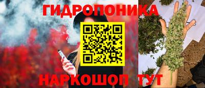 синтетический гашиш Гатчина