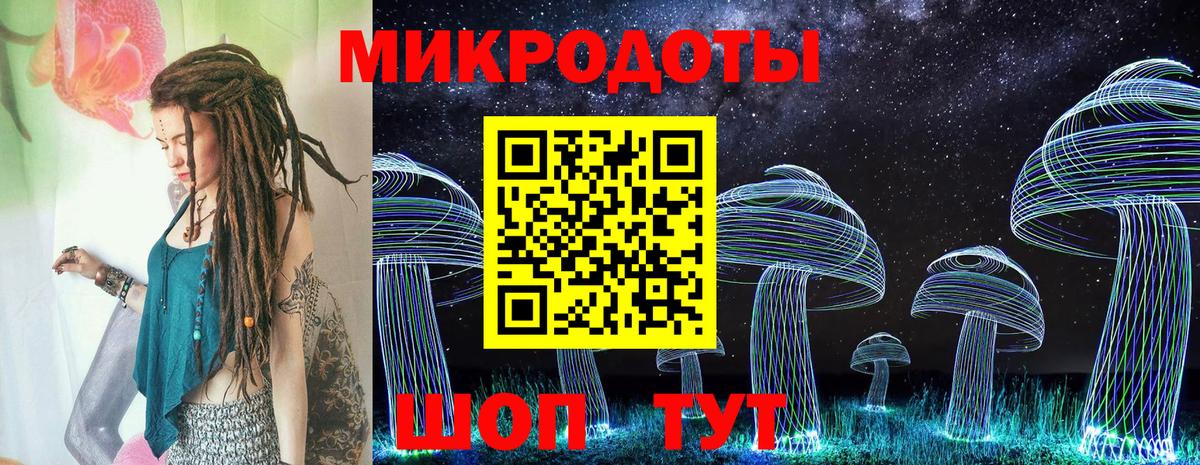 Майкоп  цена наркотик  Вход с VPN  Псилоцибиновые грибы прущие грибы  Галлюциногенные грибы GOLDEN TEACHER 