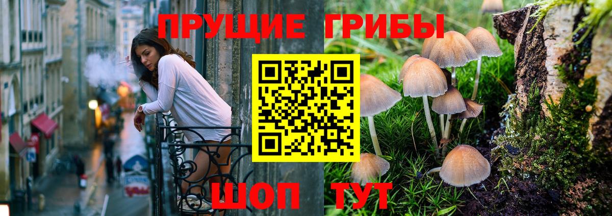 Псилоцибиновые грибы ЛСД Майкоп