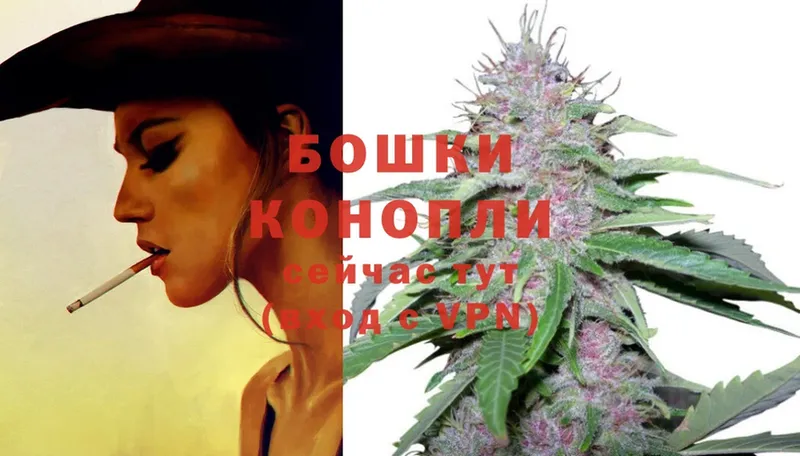 цены наркотик  Майкоп  Шишки марихуана Ganja 